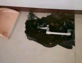 凤阳卫生间测漏水多少钱